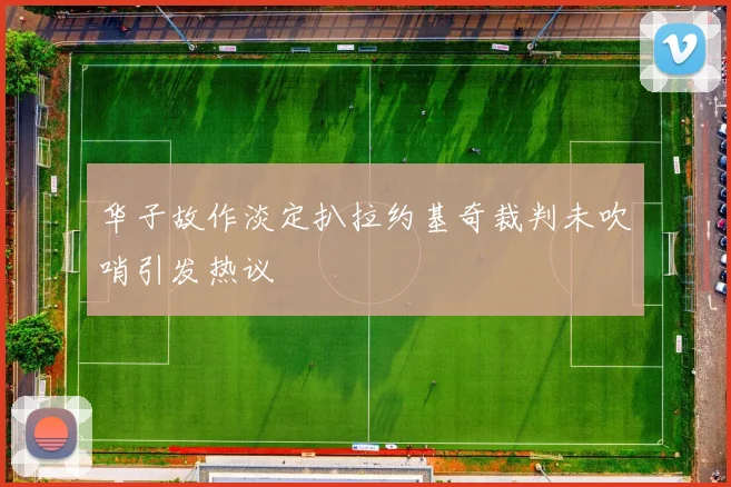 华子故作淡定扒拉约基奇裁判未吹哨引发热议