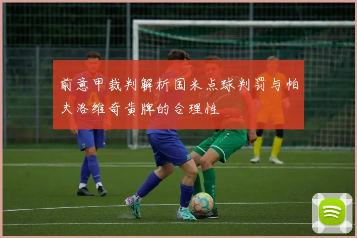 前意甲裁判解析国米点球判罚与帕夫洛维奇黄牌的合理性