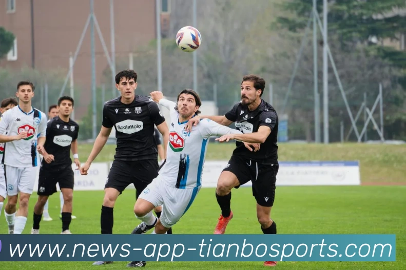 天博体育APP 封面图